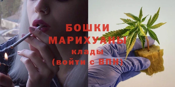 стаф Богородск