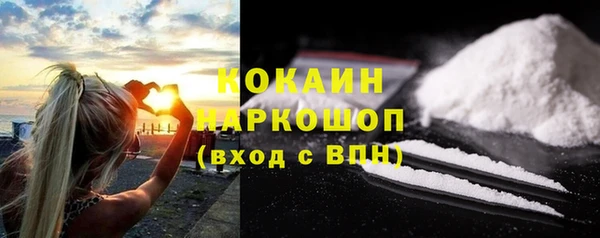 стаф Богородск