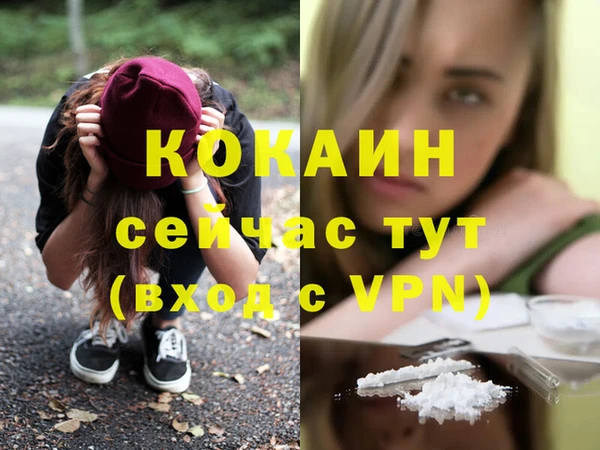 стаф Богородск
