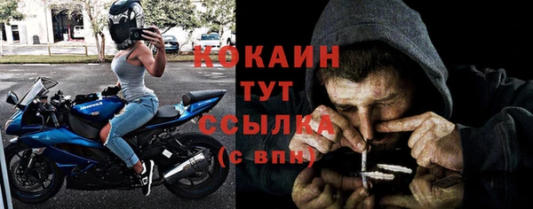 стаф Богородск