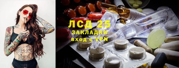 стаф Богородск