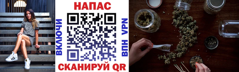 Канабис индика  Венёв 